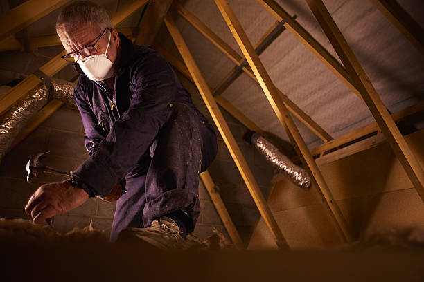 Insulation Repair Services in Wilder, ID